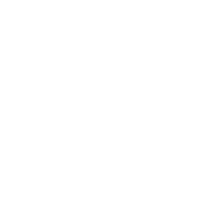 Fun logo